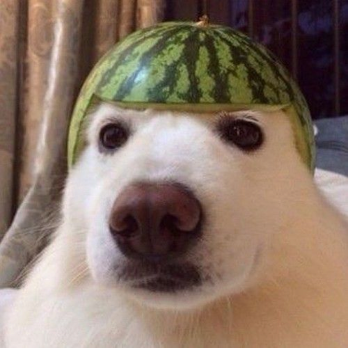 Capacete para o noivo se defender do pau de macarrão